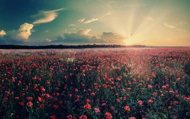 帶鋸機的發(fā)展歷程簡介