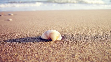 高溫天的衣食住行