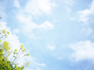 ��䏙C��ǰ�l���ǼӴ����a��